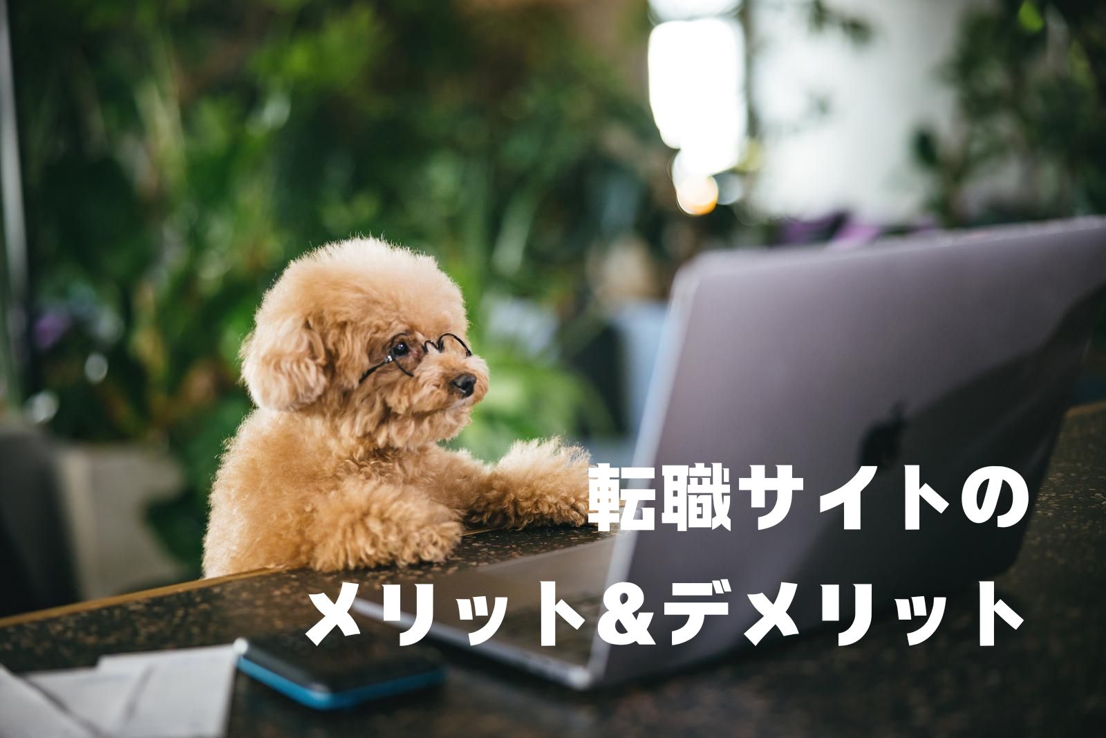 転職サイトのメリット&デメリット